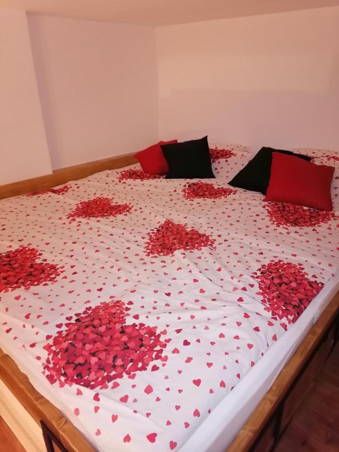 Apartman Stimac Petrovaradin Zewnętrze zdjęcie