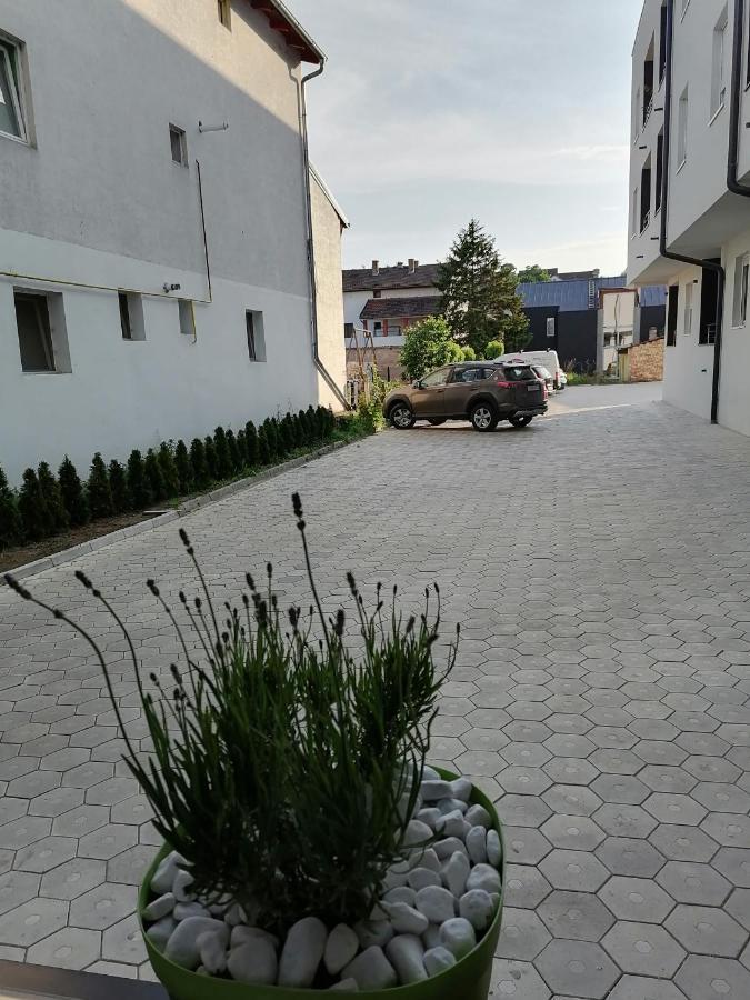 Apartman Stimac Petrovaradin Zewnętrze zdjęcie